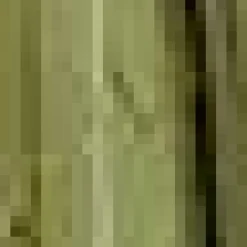 LED Glass Decorative Tree