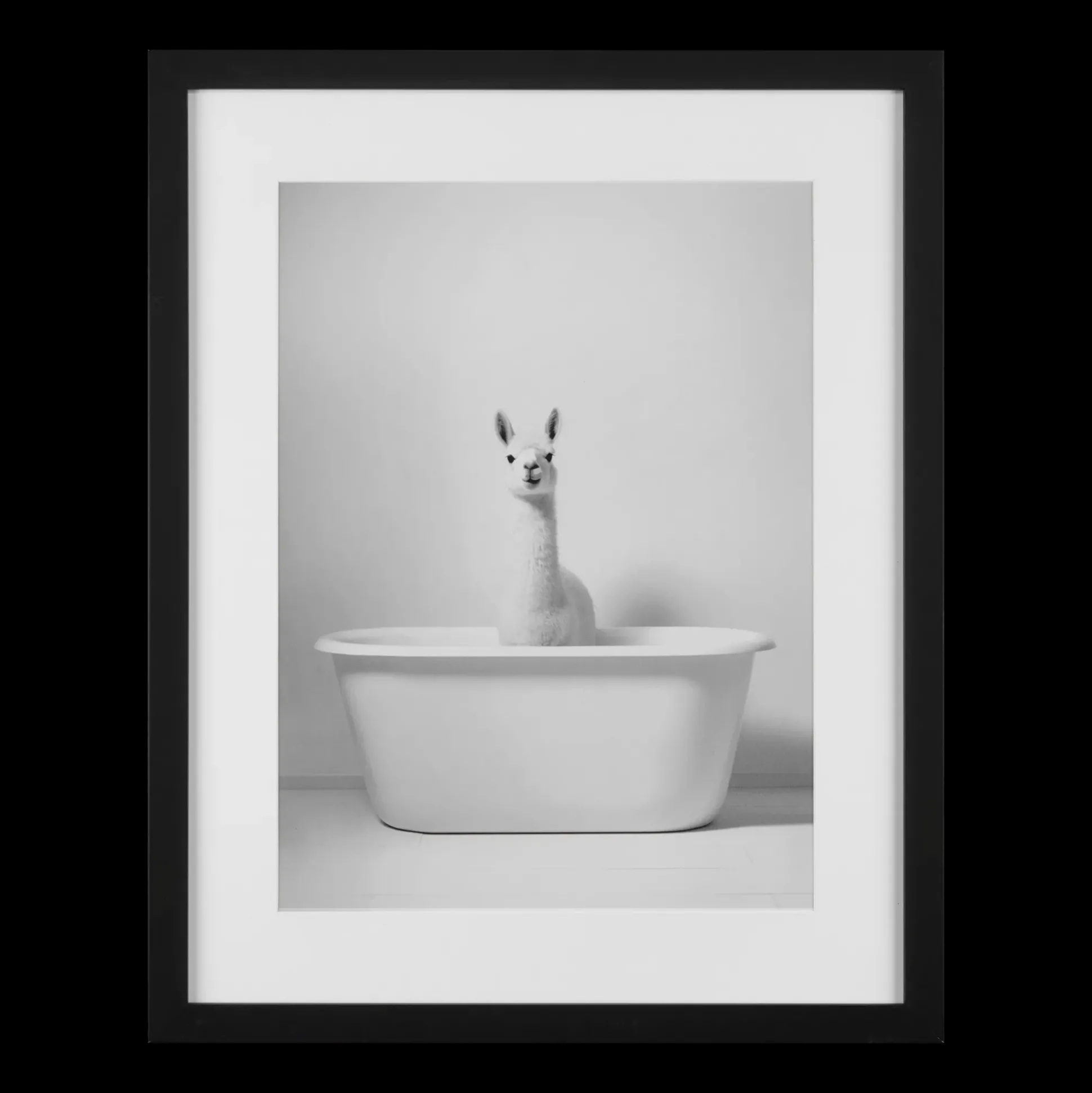 LLama in Bathtub Printed Framed Canvas