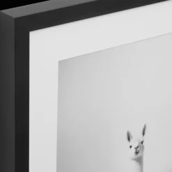 LLama in Bathtub Printed Framed Canvas