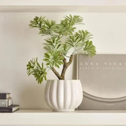 Lotus in Ceramic Pot