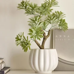 Lotus in Ceramic Pot