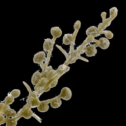 Mini Pot of Greenery