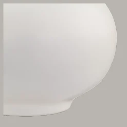 Pampas Bouquet in Vase