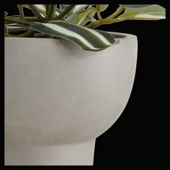 Potted Falling Leaves