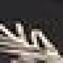 Rectangular Serving Tray