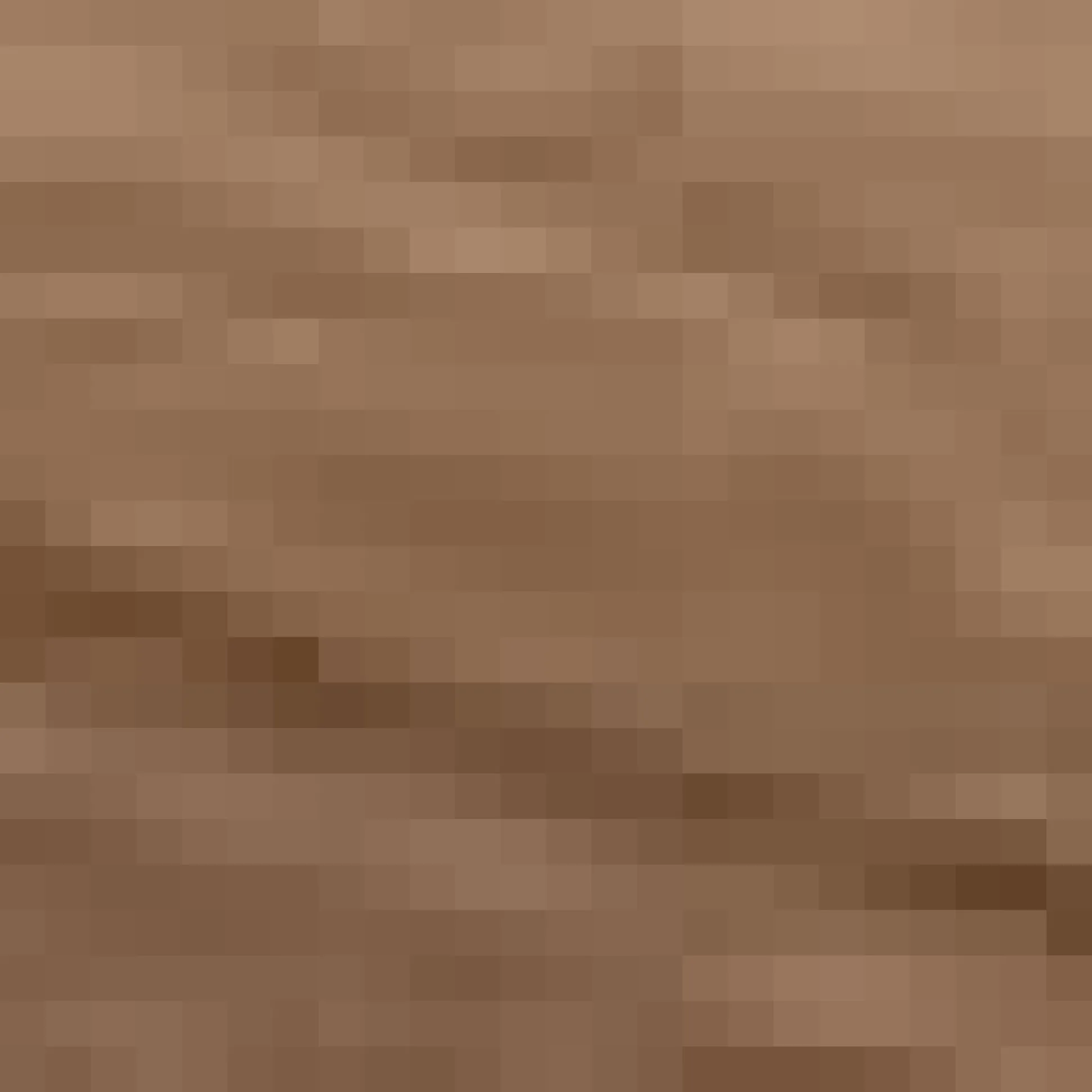 Round Mirror with Natural Frame