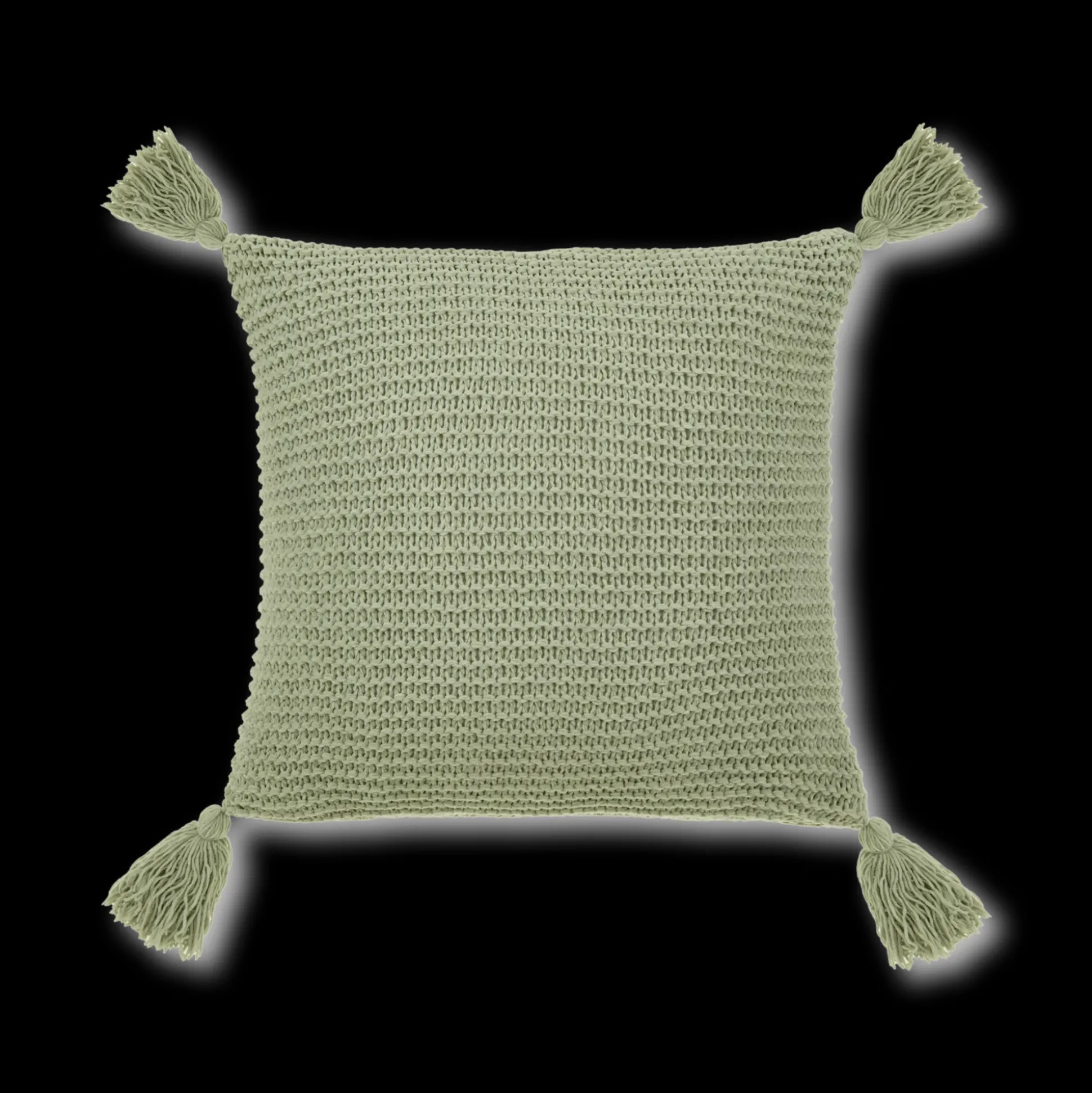 Sage Erna Decorative Pillow with Tassels