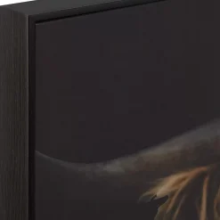 Scottish Highland Cattle Framed Printed Canvas