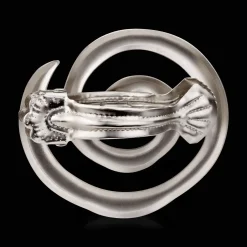 Set of 2 Decorative Clips