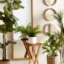 Set of 3 Mango Wood and Rope Circle Wall Decor