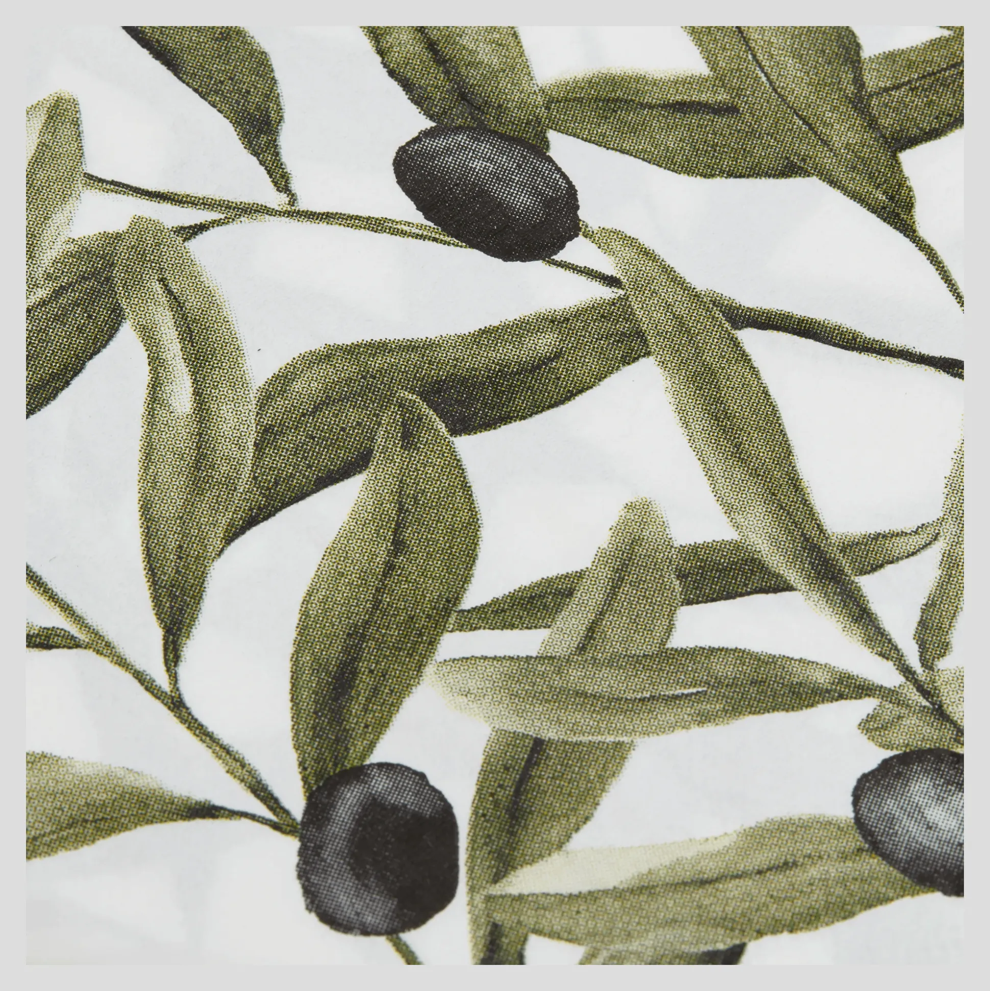 Set of 20 Paper Napkins