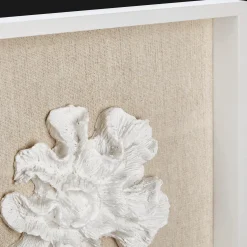 Set of 3 Seashells Framed Art