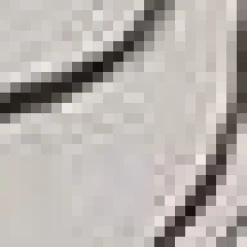 Stems in Pot Framed Art