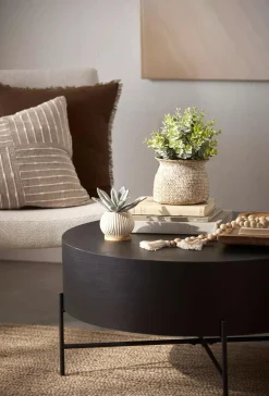 Succulent in Ceramic Pot