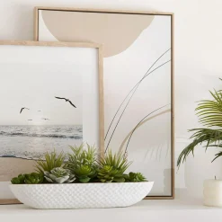 Succulents in Cement Tray