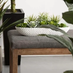 Succulents in Cement Tray