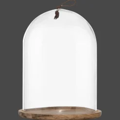 Tall Glass Dome with Acadia Wood Base