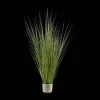 Tall Grass in Cement Pot