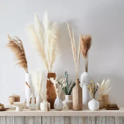 Tall Pampas Stem 150 cm