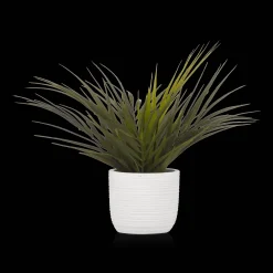 Textured Ceramic Potted Tropical Plant