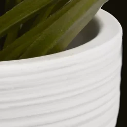 Textured Ceramic Potted Tropical Plant