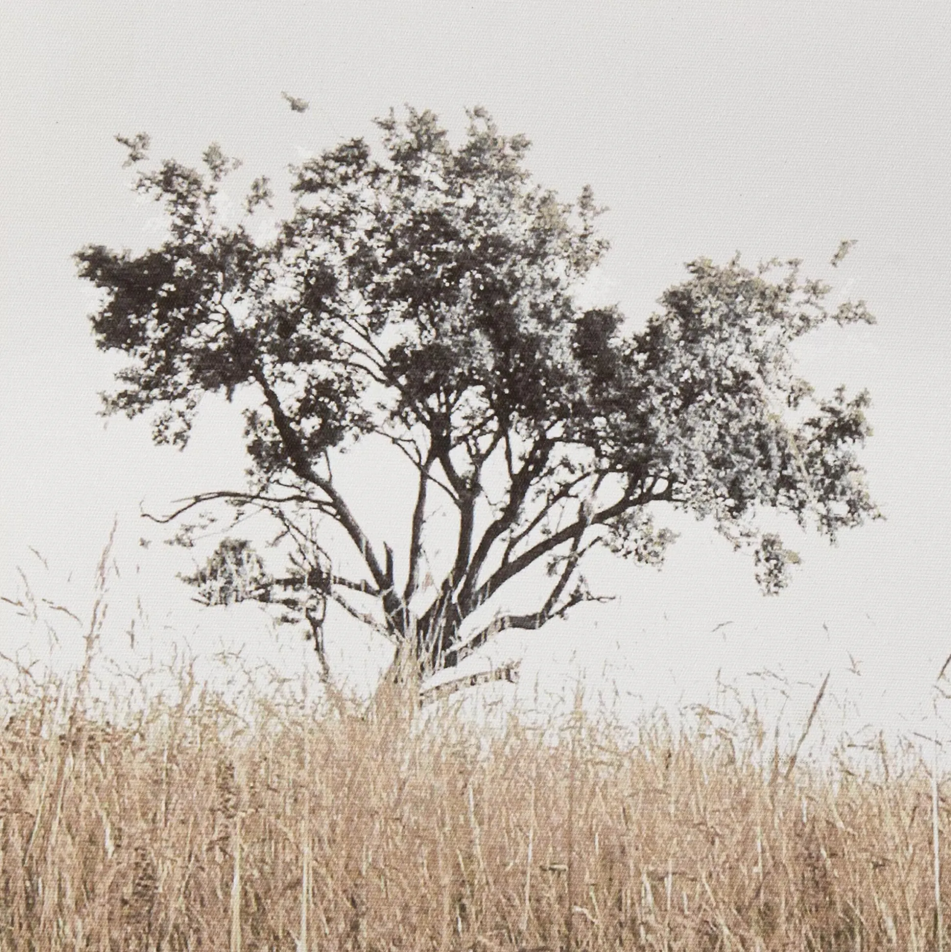 Typography Framed Art