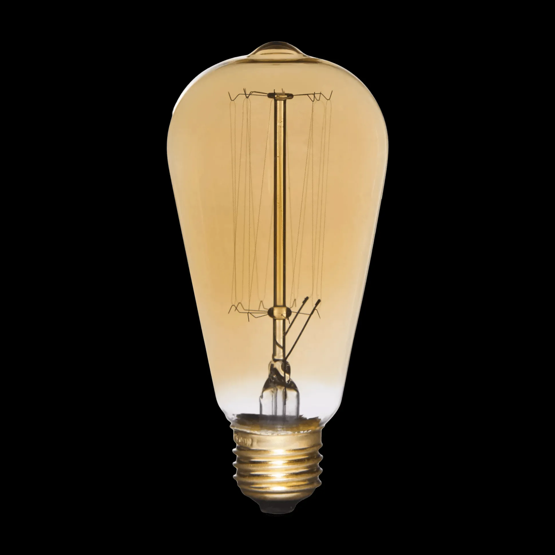 Vintage Edison Light Bulb