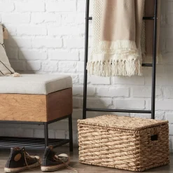 Water Hyacinth Storage Trunk