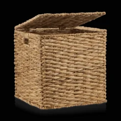 Water Hyacinth Storage Trunk