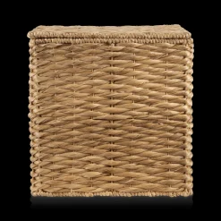 Water Hyacinth Storage Trunk