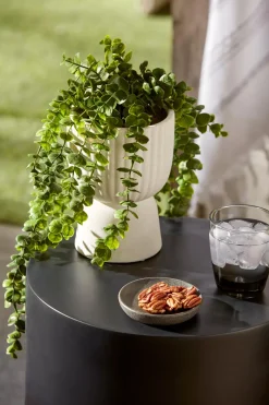 Waterfall Eucalyptus in White Hourglass Pot