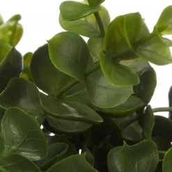 Waterfall Eucalyptus in White Hourglass Pot