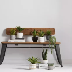 Waterfall Plant in Cement Pot