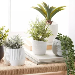 Waterfall Plant in Cement Pot