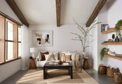 Waterfall Plant in Ceramic Pot