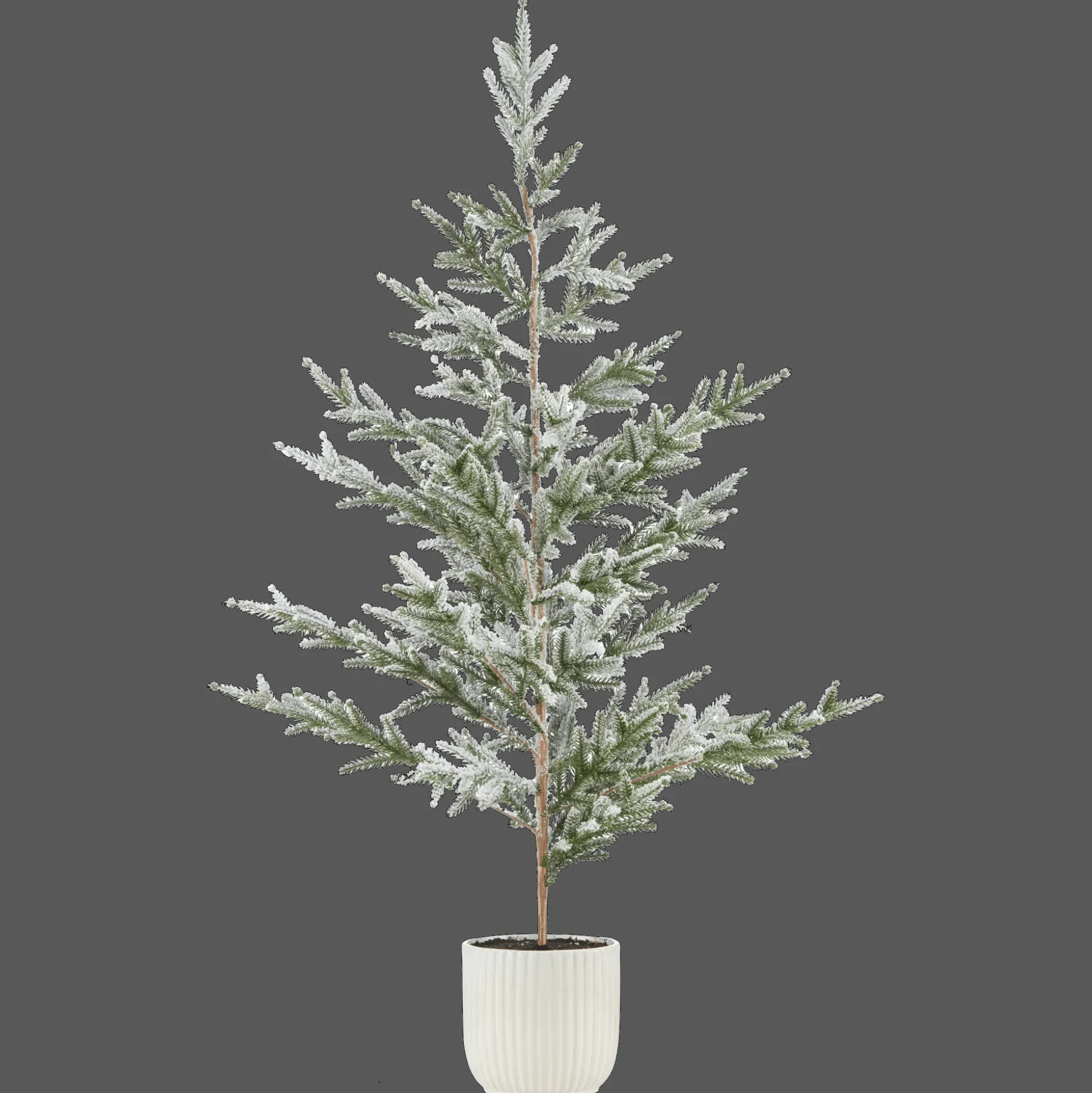 Xmas Tree in Ceramic Pot