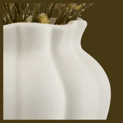 Yellow Gypsohila in Pot